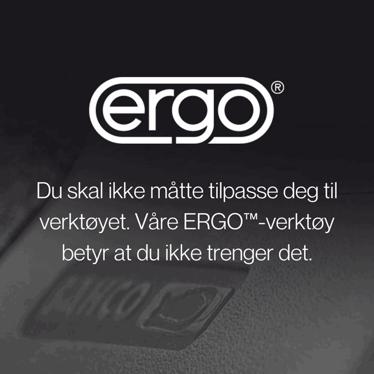 HVA ER ERGO™?